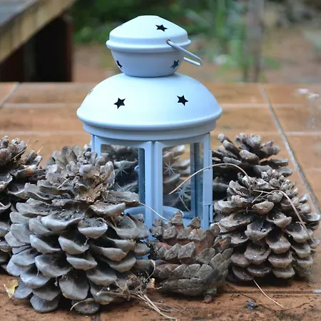 Evaliana Seaside Appartamento PalaiónTsiflíkion